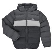 Donsjas adidas Synthetic Down Jacket