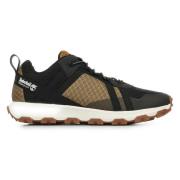 Sneakers Timberland Winsor Trail