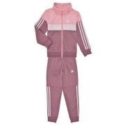 Trainingspak adidas Tiberio 3-Stripes Colorblock Shiny Track Suit