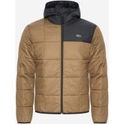 Donsjas Lacoste Puffer jacket