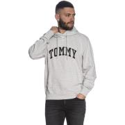 Sweater Tommy Jeans DM0DM18401