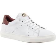 Sneakers Dee Ocleppo Sneakers Dames Wit Leer Casual LaceUp Sneakers