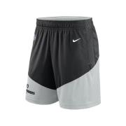 Korte Broek Nike -