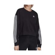 Sweater adidas -