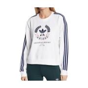 Sweater adidas -