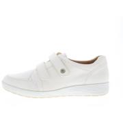 Sneakers Ganter Klara K