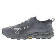 Hardloopschoenen Mizuno Wave Daichi GTX W