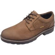 Nette Schoenen Camel Active -