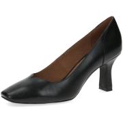 Pumps Caprice -