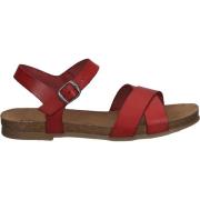 Sandalen Cosmos Comfort Sandalen