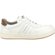 Lage Sneakers Pius Gabor Sneaker