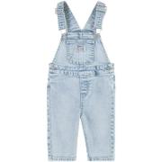 Windjack Levis -