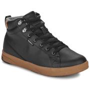 Hoge Sneakers Saola BERGEN WP