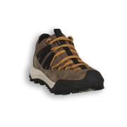 Wandelschoenen Scarpa 004 ROVE GTX GRAY