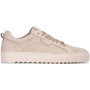 Lage Sneakers Haboob LEWIS Heren Sneakers