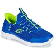 Lage Sneakers Skechers SUMMITS