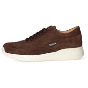 Sneakers Cesare Paciotti -