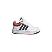 Sneakers adidas Baby Sneakers Hoops 3.0 CF I H03860