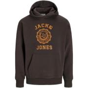 Sweater Jack &amp; Jones -