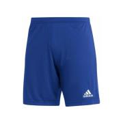 Korte Broek adidas -