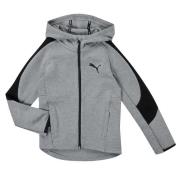 Sweater Puma EVOSTRIPE CORE FZ HOODIE