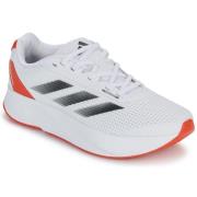 Hardloopschoenen adidas DURAMO SL M