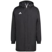 Windjack adidas -