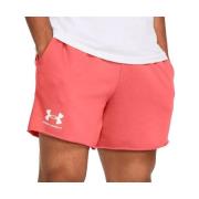 Korte Broek Under Armour -