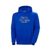 Sweater Helly Hansen Core Graphic