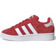 Sneakers adidas -