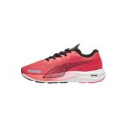 Hardloopschoenen Puma Velocity Nitro 2