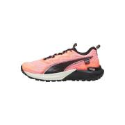 Hardloopschoenen Puma FastTrac Nitro 2