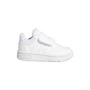 Sneakers adidas Hoops 3.0