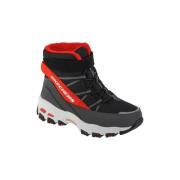 Laarzen Skechers D Lites