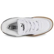 Lage Sneakers Puma Park Lifestyle SK8