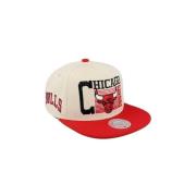 Pet Mitchell And Ness -