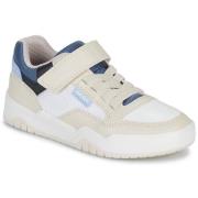 Lage Sneakers Geox J PERTH BOY