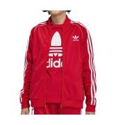 Blazer adidas -