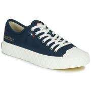 Lage Sneakers Palladium PALLA ACE CVS