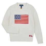 Trui Polo Ralph Lauren FLAG CN SWTR-TOPS-SWEATER