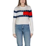 Trui Tommy Hilfiger TJW CENTER FLAG DW0DW19335