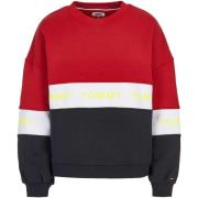 Sweater Tommy Hilfiger -