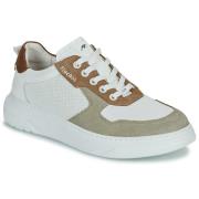 Lage Sneakers Fluchos BOSTON