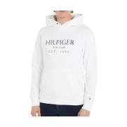 Sweater Tommy Hilfiger -