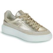 Lage Sneakers JB Martin FLEUR