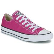 Lage Sneakers Converse CHUCK TAYLOR ALL STAR