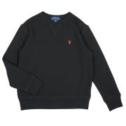 Sweater Polo Ralph Lauren LS CN-TOPS-KNIT