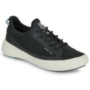 Lage Sneakers Palladium PALLANOVA CVS