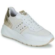 Lage Sneakers NeroGiardini E512862D