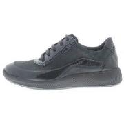 Sneakers Solidus Halea H